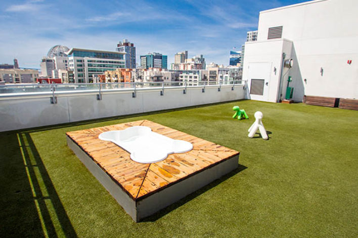 SYNLawn Windsor artificial grass for Roof top applications